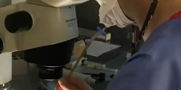 Embriyolog Barut’tan ilginç açıklama: “Yapay zeka ürünü bebekler yolda”