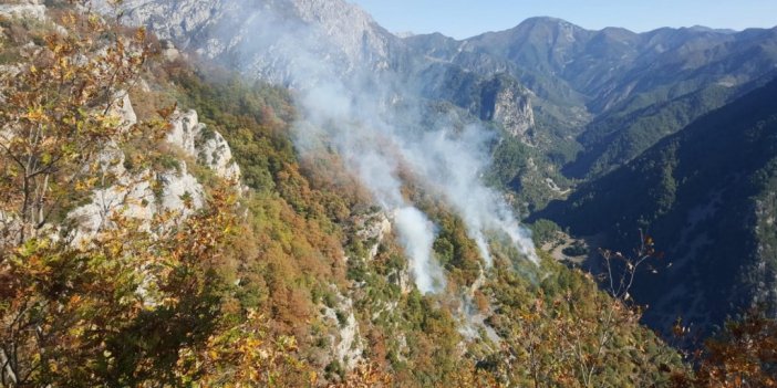 Osmaniye’de orman yangını