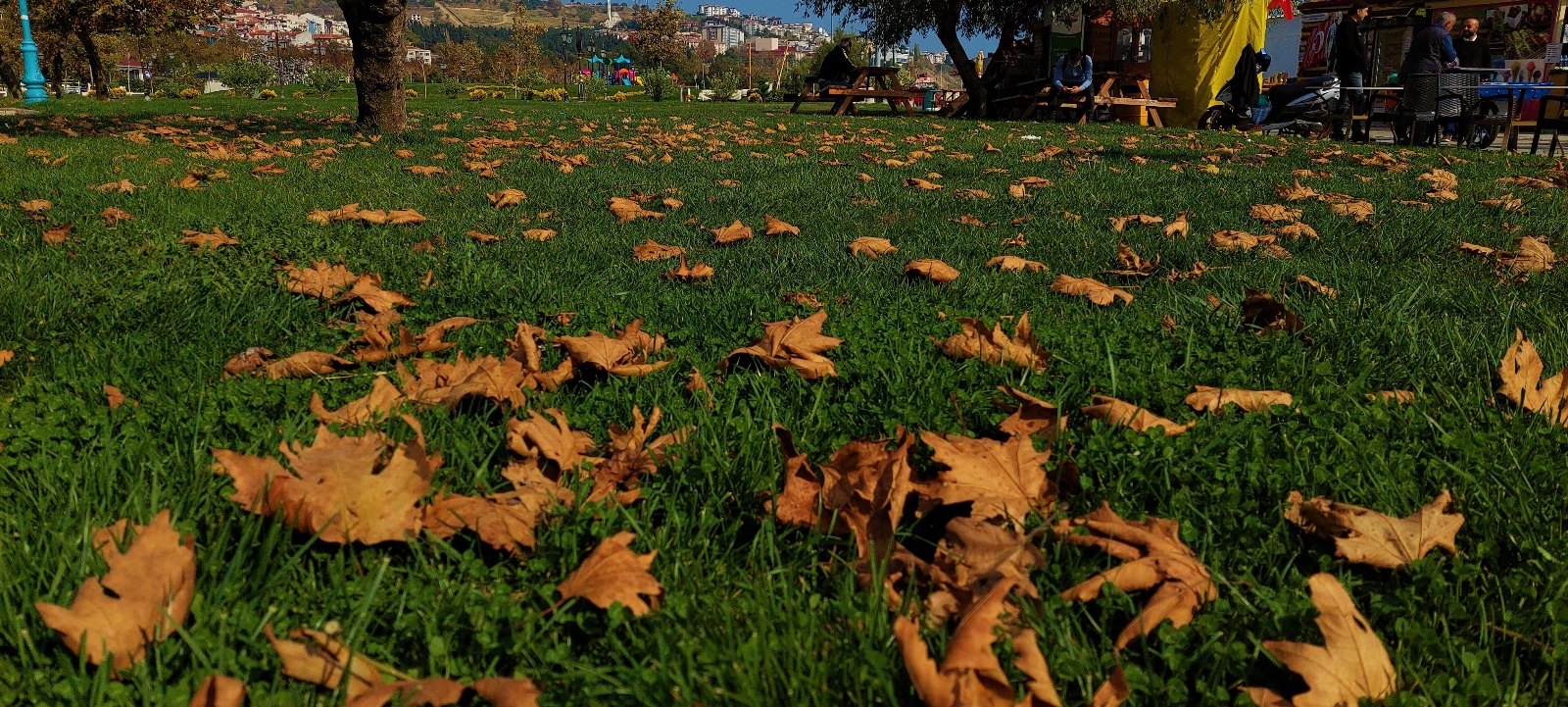 Tekirdağ’da Sonbahar güzelliği: Sahil alanda renk cümbüşü yaşanıyor