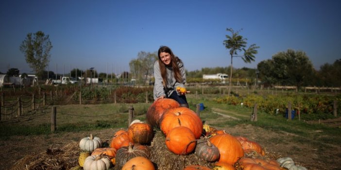 Bursa’da üretilen farklı tür kabakların yaygınlaşması hedefleniyor