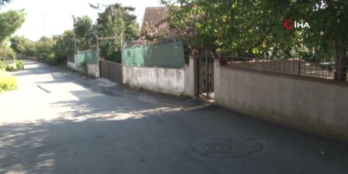 Mahalleyi akrep ve fareler bastı!