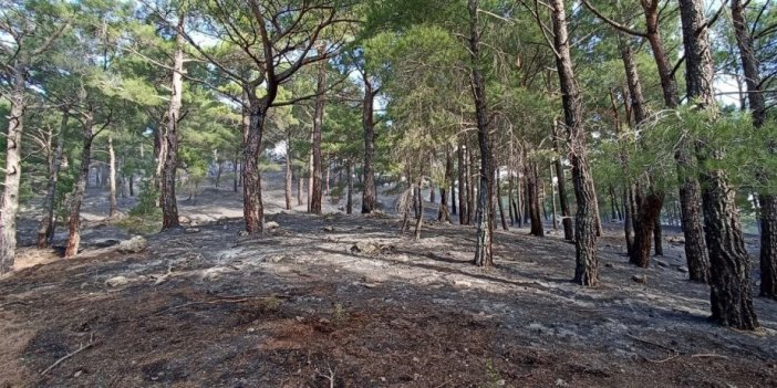 Kazdağları’ndaki yangın kontrol altına alındı