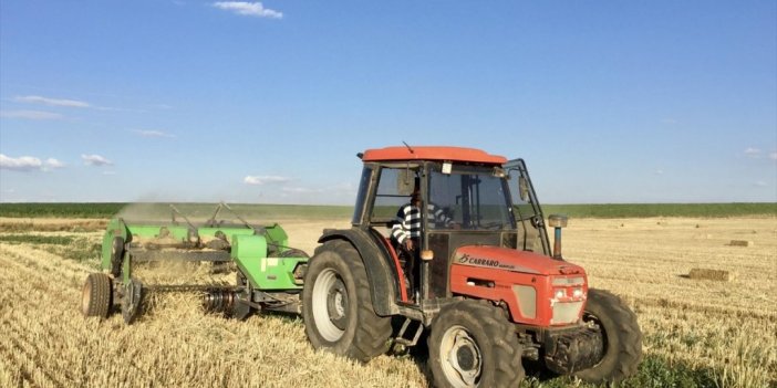 Tahıl Ve Sebzede Bu Yıl Üretimin Azalacağı, Meyvede Artacağı Tahmin Edildi