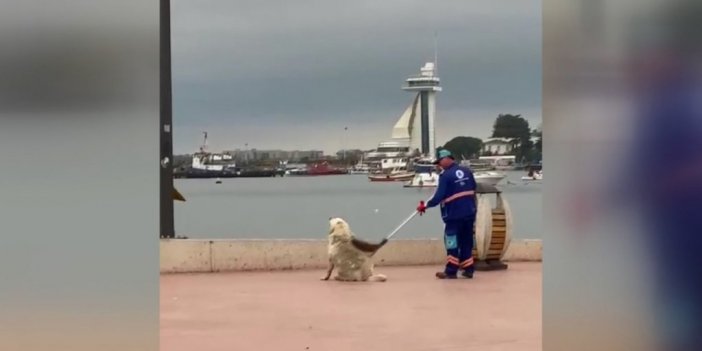 Tuzla’da temizlik personeli ve köpeğin yürekleri ısıtan görüntüsü