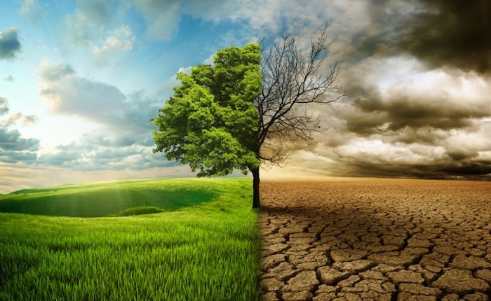 Dünya Meteoroloji Örgütü: "Atmosferdeki Sera Gazı Birikimi 2020’de Rekor Düzeye Ulaştı"