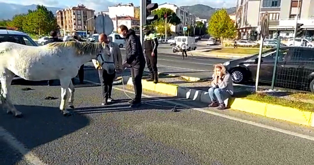 Ata çarpan kadın gözyaşına boğuldu