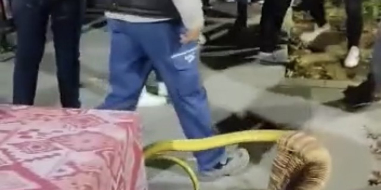 Bursa’da Beşiktaş-galatasaray Maçını İzleyen Taraftarlar Arasında Kavga Çıktı