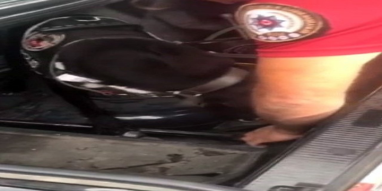 Narkotik Köpeği Athena'dan büyük başarı!  9,97 gram uyuşturucu maddeyi buldu