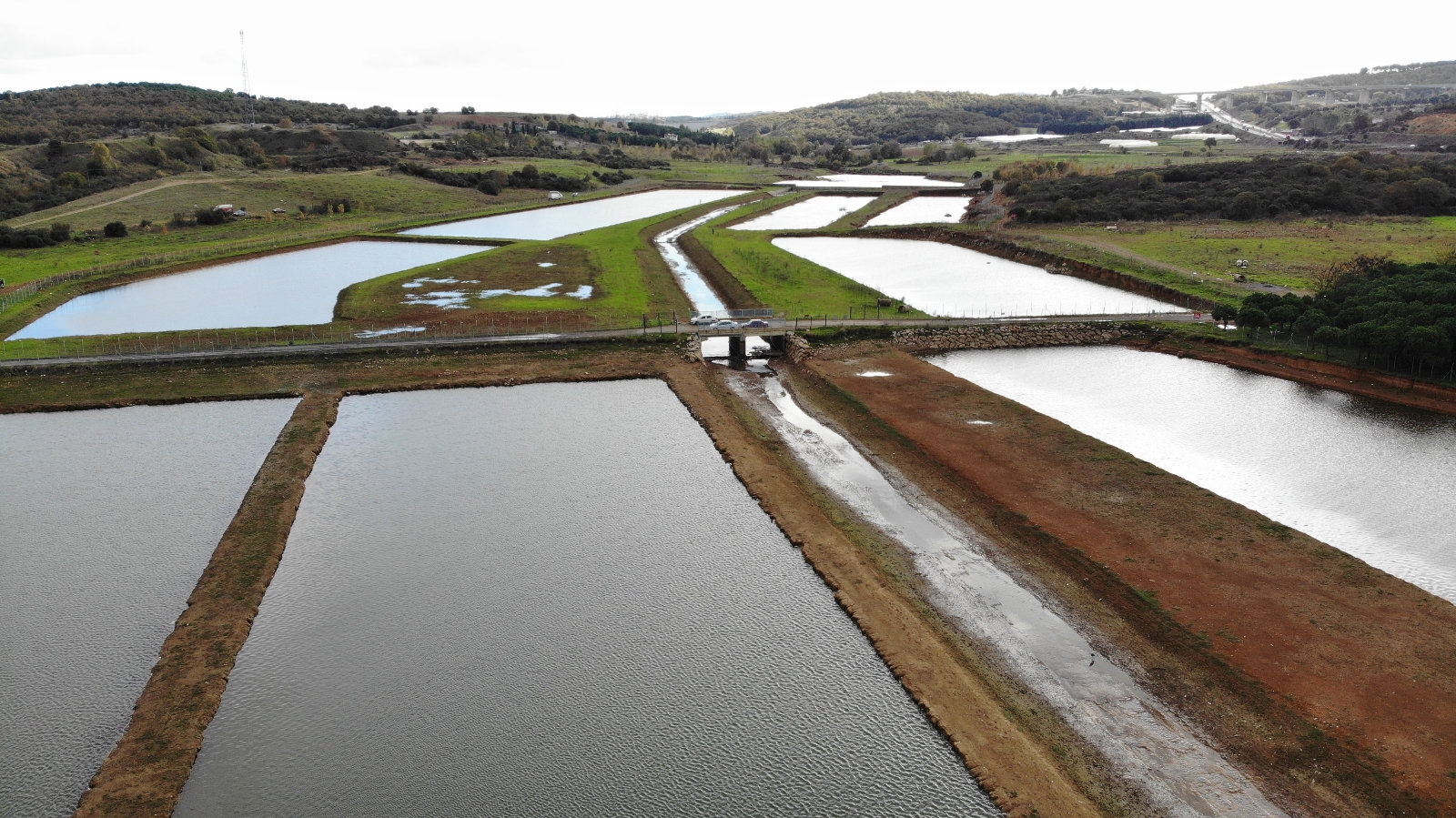 Ömerli Barajı’nda Tellere Takılıp Telef Olan Hayvanlar Suların Çekilmesi İle Görüldü