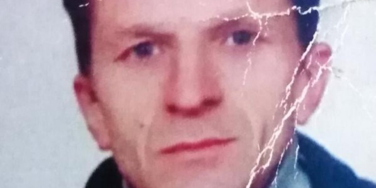 Sakarya'da kestiği ağaç üstüne düşünce yaşamını yitirdi