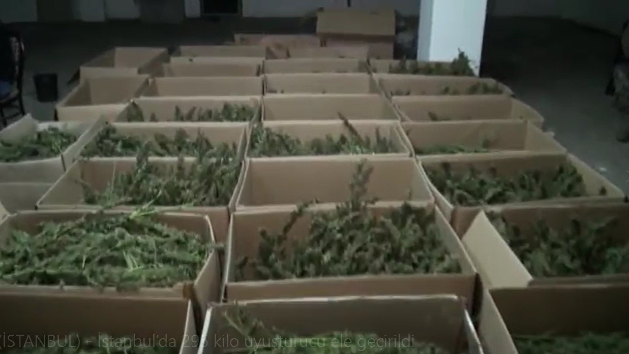 İstanbul’da 295 kilo uyuşturucu ele geçirildi