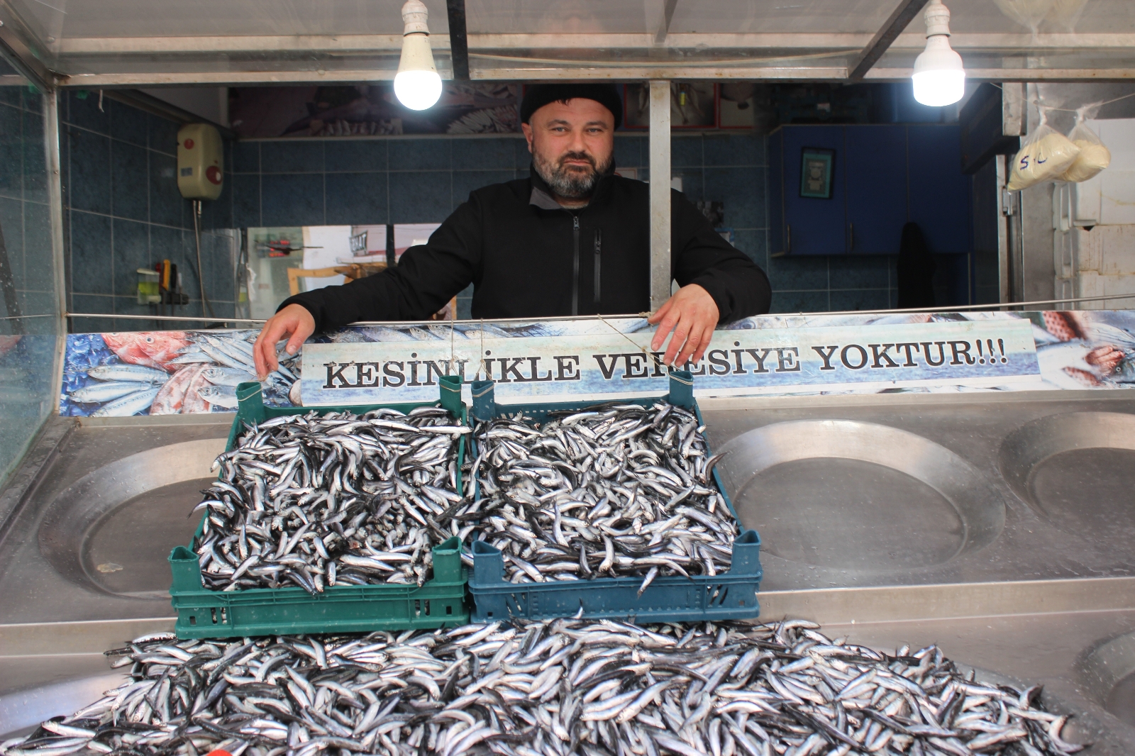 Palamut Tezgahlara Gelmeyince, İlgi Hamsiye Kaydı