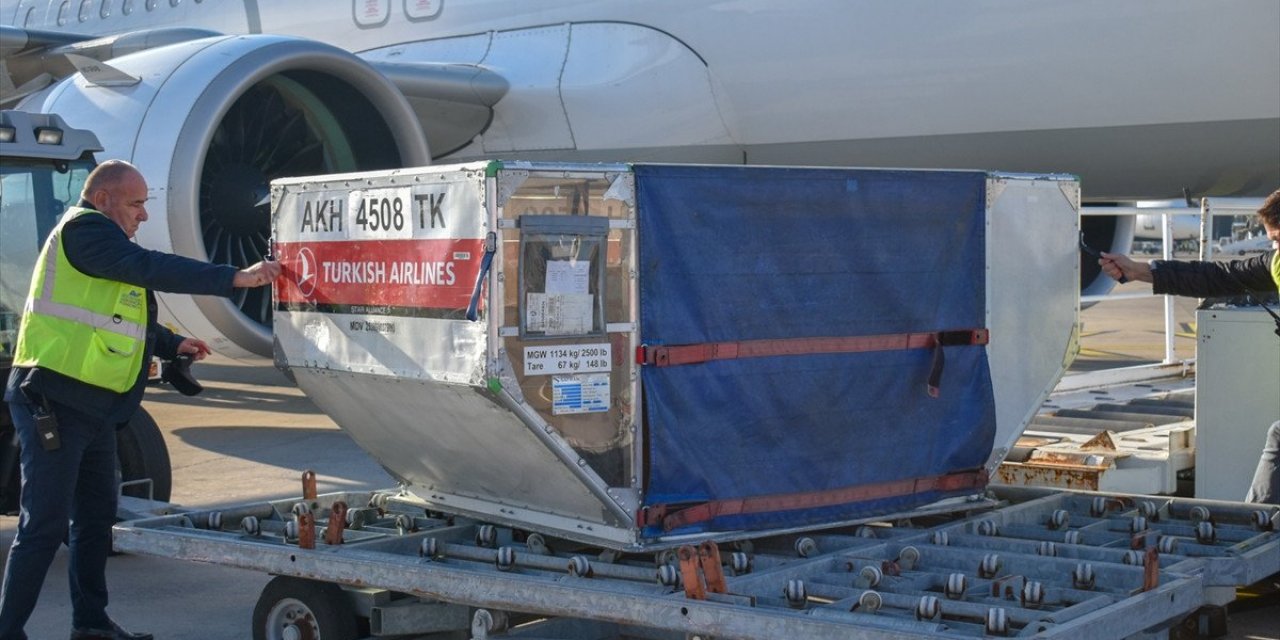 Türkiye'nin hibe ettiği 100 bin doz aşı Karadağ'a ulaştı