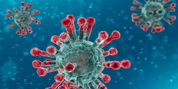 Ukrayna günlük 26 bin 71 yeni korona virüs vakasıyla rekor kırdı