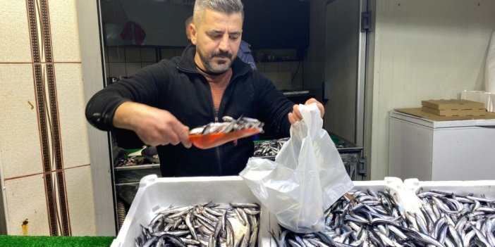 Palamut Fiyatları Tutulamıyor!