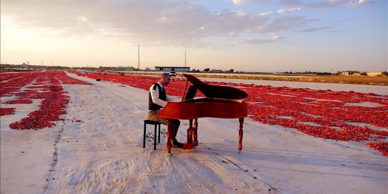 Diyarbakır'da müzik öğretmenleri, domates tarlasında işçilerle klip çekti