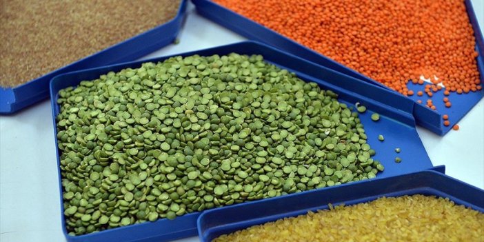 Türkiye'den 9 Ayda 6,4 Milyar Dolarlık Hububat Ve Bakliyat İhraç Edildi