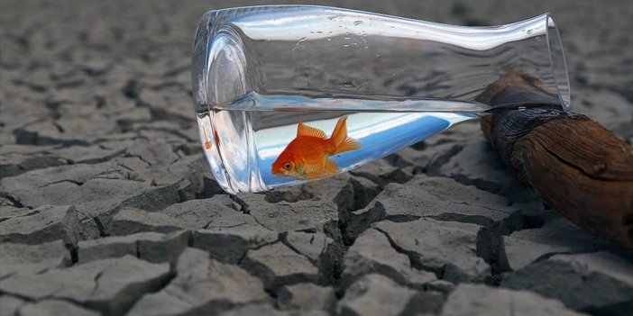 Uluslararası Kuruluşlar, Dünyaya 'acilen Su Ve İklim Tedbirleri Alma Çağrısı' Yaptı