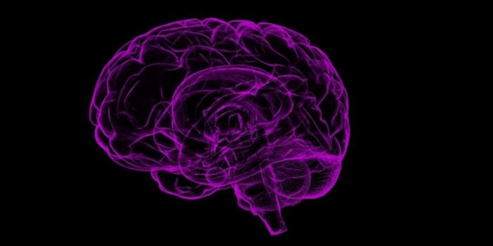 Uzmanından "eko-kaygı Panik Ataklara Neden Olabilir" Uyarısı