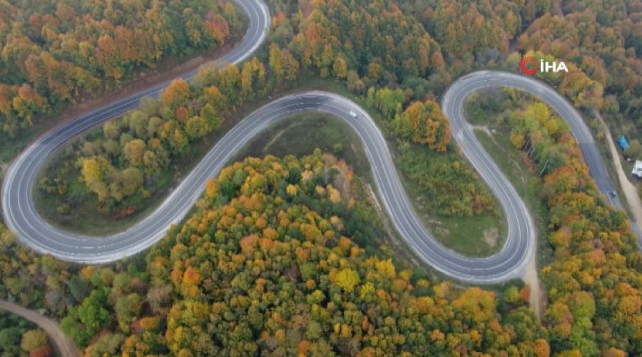 Bursa Ormanları’nda Renk Cümbüşü