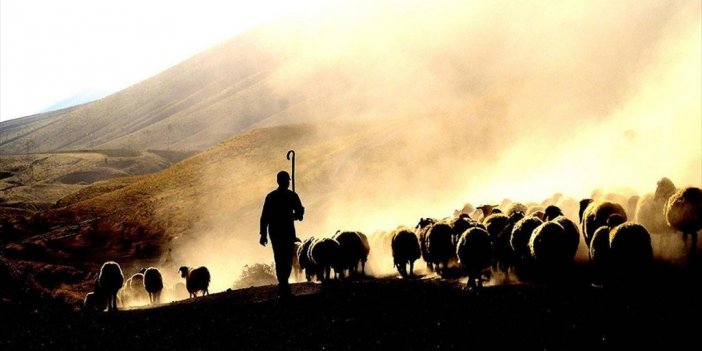 Tarımsal Desteklerde Gelecek Yıl Aslan Payı Hayvancılığın