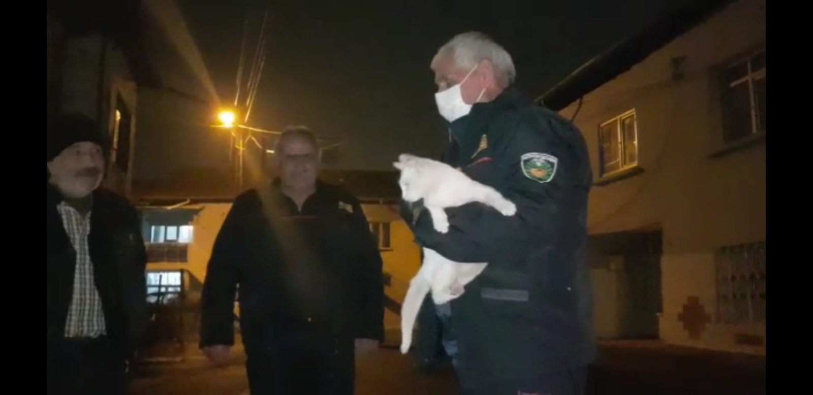 Evden kaçan Van kedisi ağaçta mahsur kaldı, itfaiye kurtardı