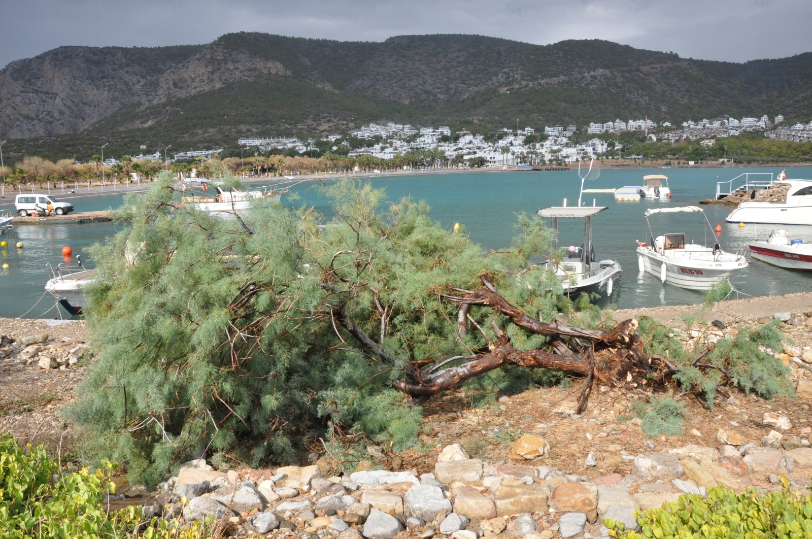 Silifke’de Hortum Tekneleri Batırdı, Ağaçları Kökünden Söktü, Çatıları Uçurdu