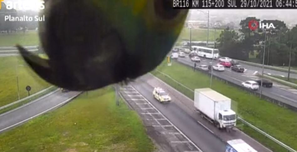 Sevimli Papağan Güvenlik Kamerasıyla Saklambaç Oynadı