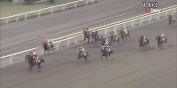 Japonya’daki yarış atı, ismiyle spikere zor anlar yaşattı