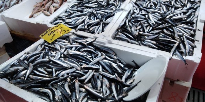 Balık tezgahlarında lüfer balığı yerini hamsiye bıraktı