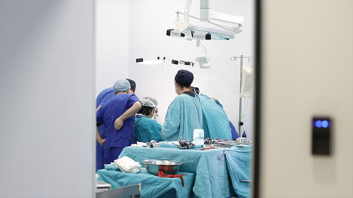 Kadavradan Böbrek Nakli Pandemide Yarı Yarıya Azaldı