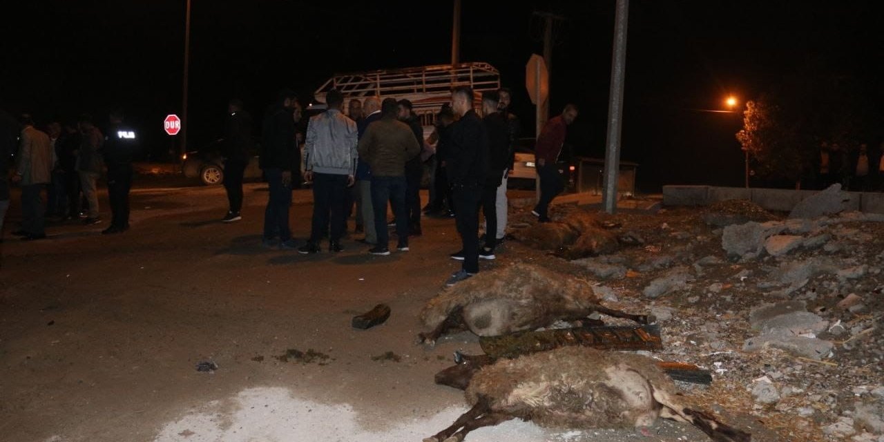 Diyarbakır’da otomobil sürüye çarptı: 4 koyun telef oldu