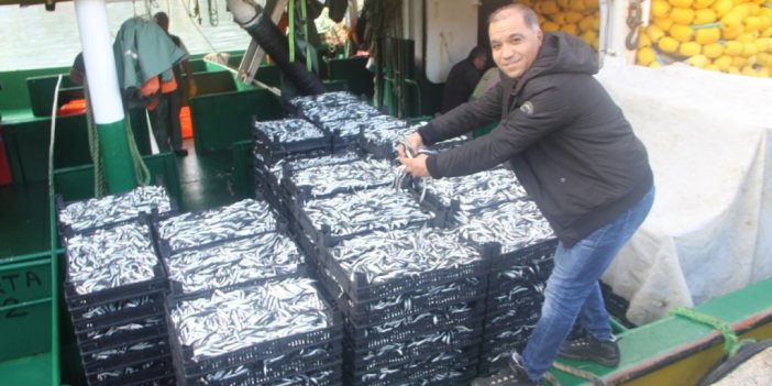 Balıkçılar denizden tonlarca hamsi ile döndü, fiyatı 10 TL’ye kadar düştü