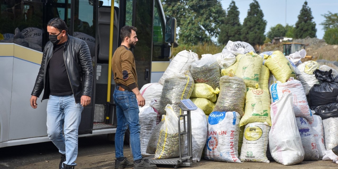 Üretici bu kez çay tohumu için bahçeye girdi