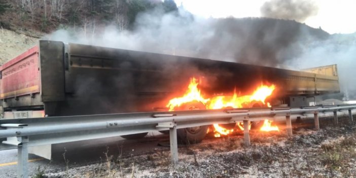 Seyir halindeki tırın dorsesi alevlere teslim oldu