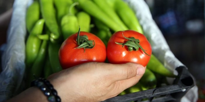 Tarım, Gıda Ve İçecek Sektöründen 9 Ayda 15,9 Milyar Dolar İhracat