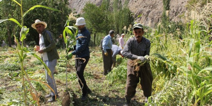 Hakkari’de kış hazırlığı