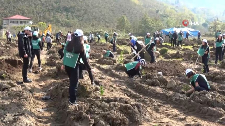 11 Kasım’da umutlar yeniden yeşerecek