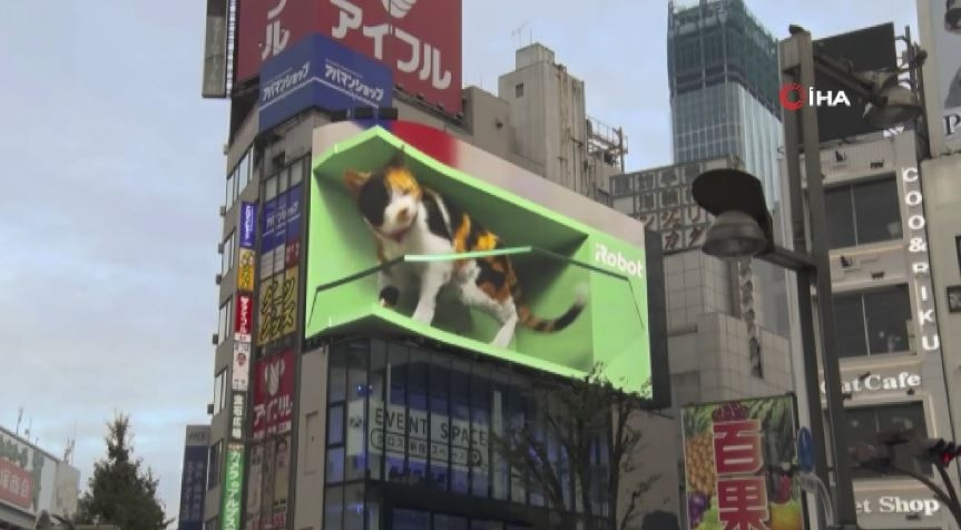 Tokyo’daki 3 boyutlu kediye eğlence çıktı