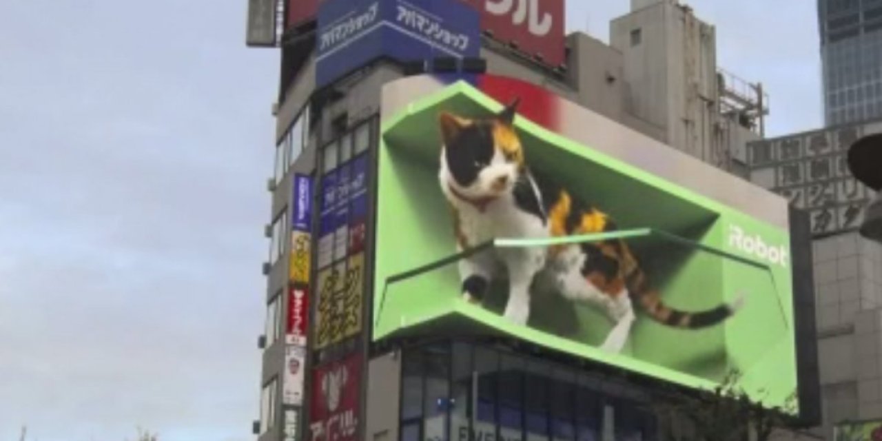 Japonya'da dev ekranda 3 boyutlu kedi oynatıldı