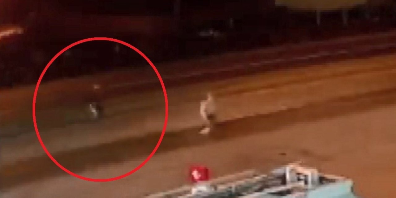 Yolun karşısına geçmek isterken ölüme böyle gitti