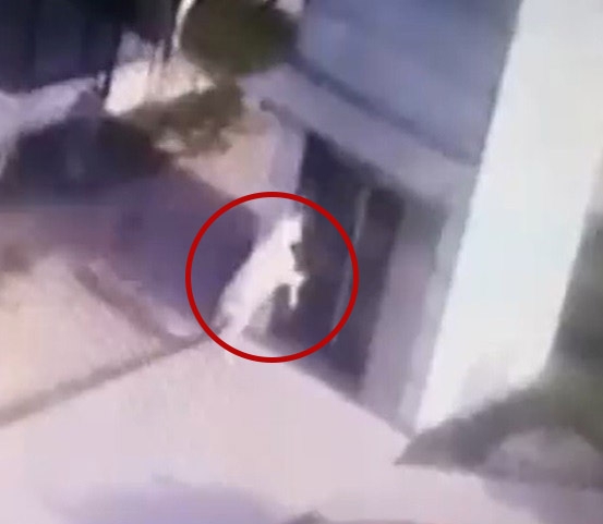 İnatçı keçi metronun asansör camını böyle kırdı: Güldüren anlar kamerada