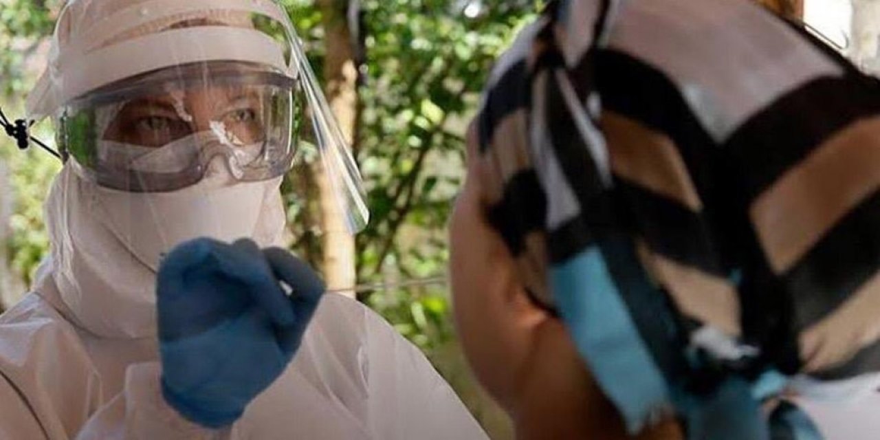 Japonya’da kuş gribi alarmı: 143 bin kanatlı hayvan itlaf edilecek