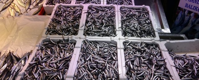 Trabzon’da fırtına hayatı olumsuz etkiledi