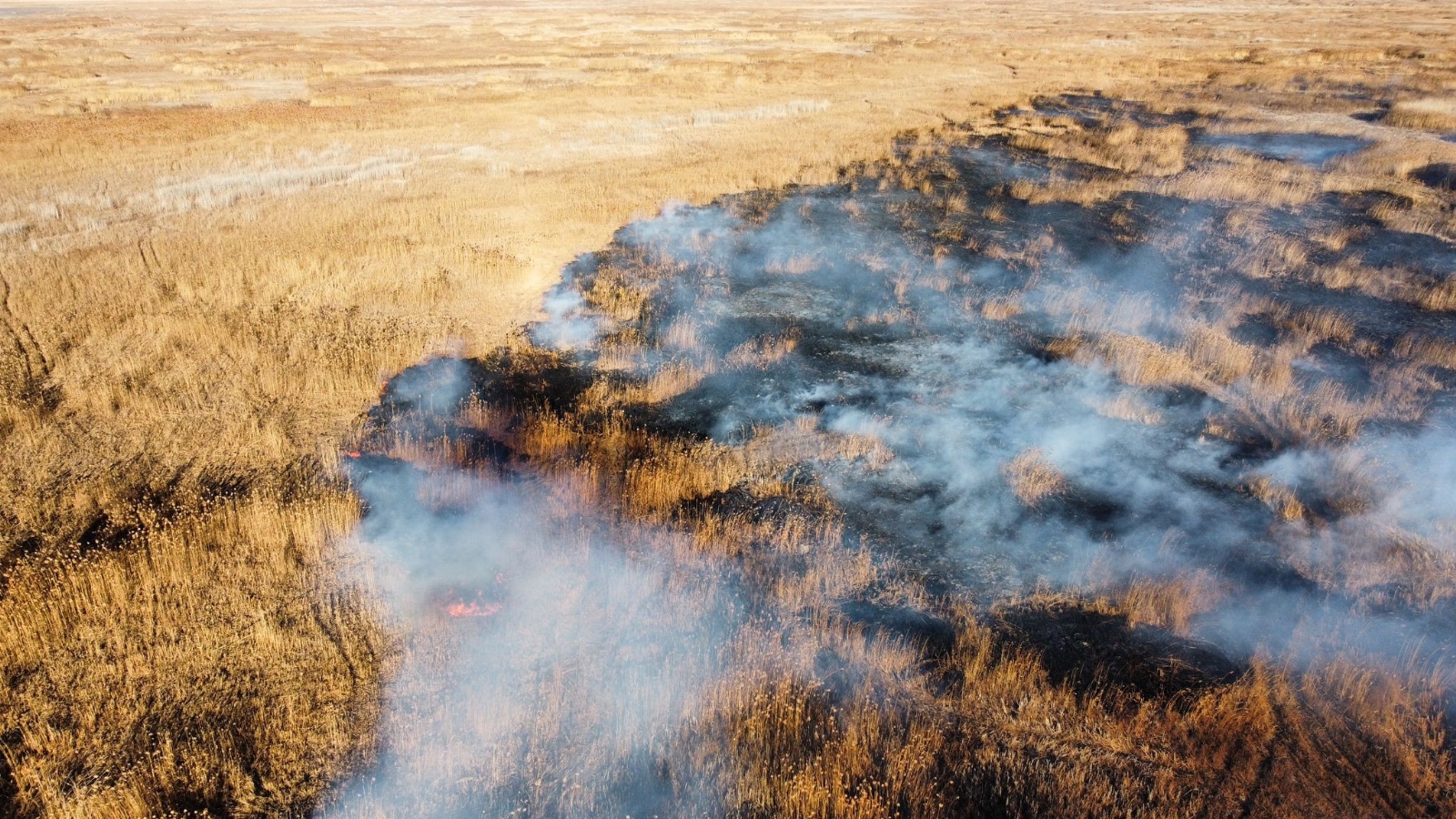 Eber Gölü’nün 6 farklı noktasından dumanlar yükseldi