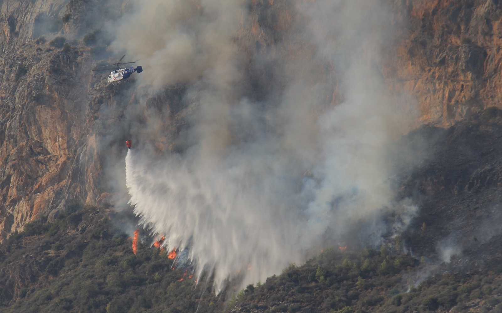 Mersin’deki orman yangınında çok sayıda sera da zarar gördü