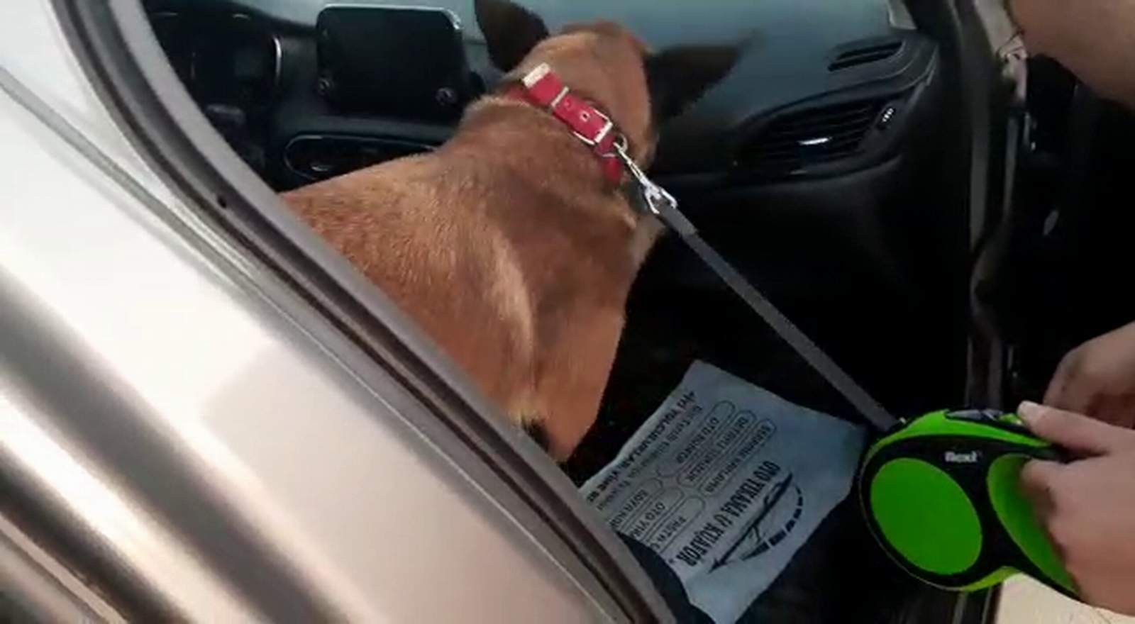 Siirt’te 480 gram kubar esrar ele geçirildi, 4 kişi gözaltında