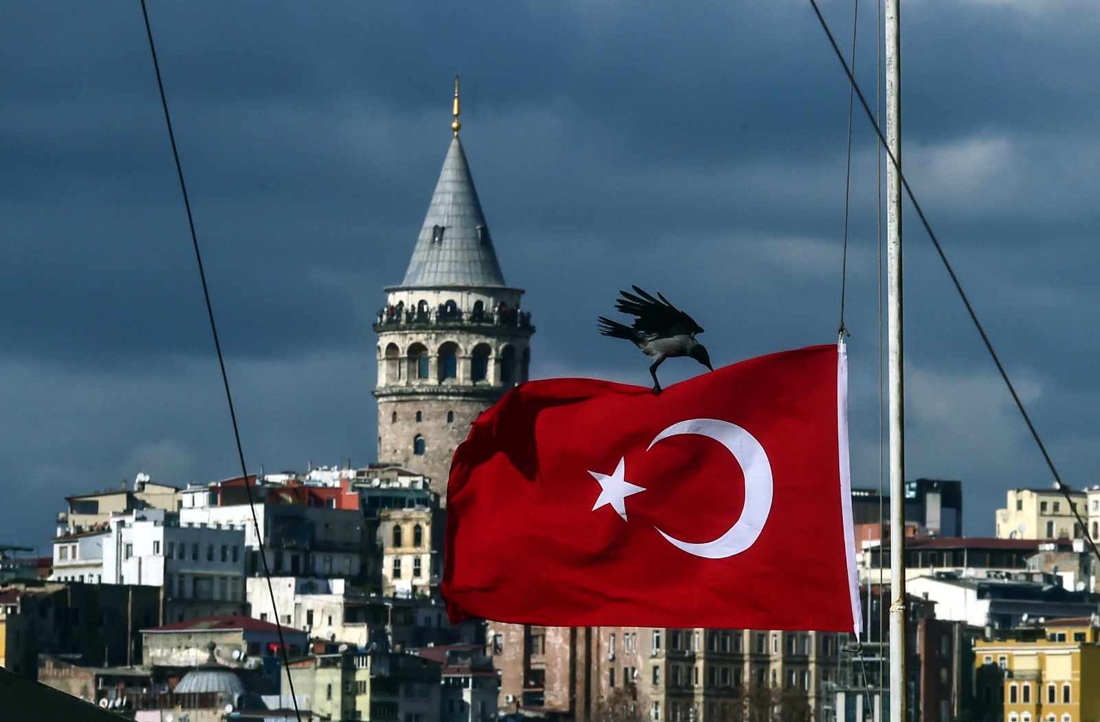 Kuşlar Fırtınadan Korunmak İçin Türk Bayrağına Tutundu