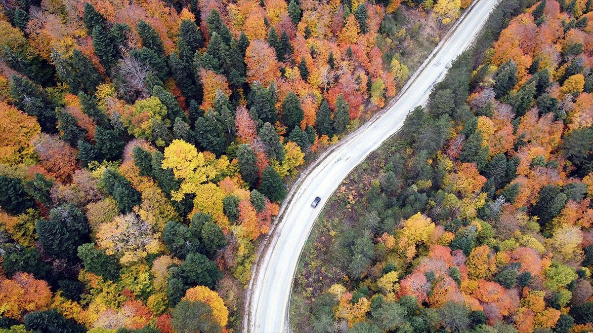 Türkiye'nin 'en Büyük Blok Ormanları'na Sahip Karabük'te Renk Cümbüşü Yaşanıyor