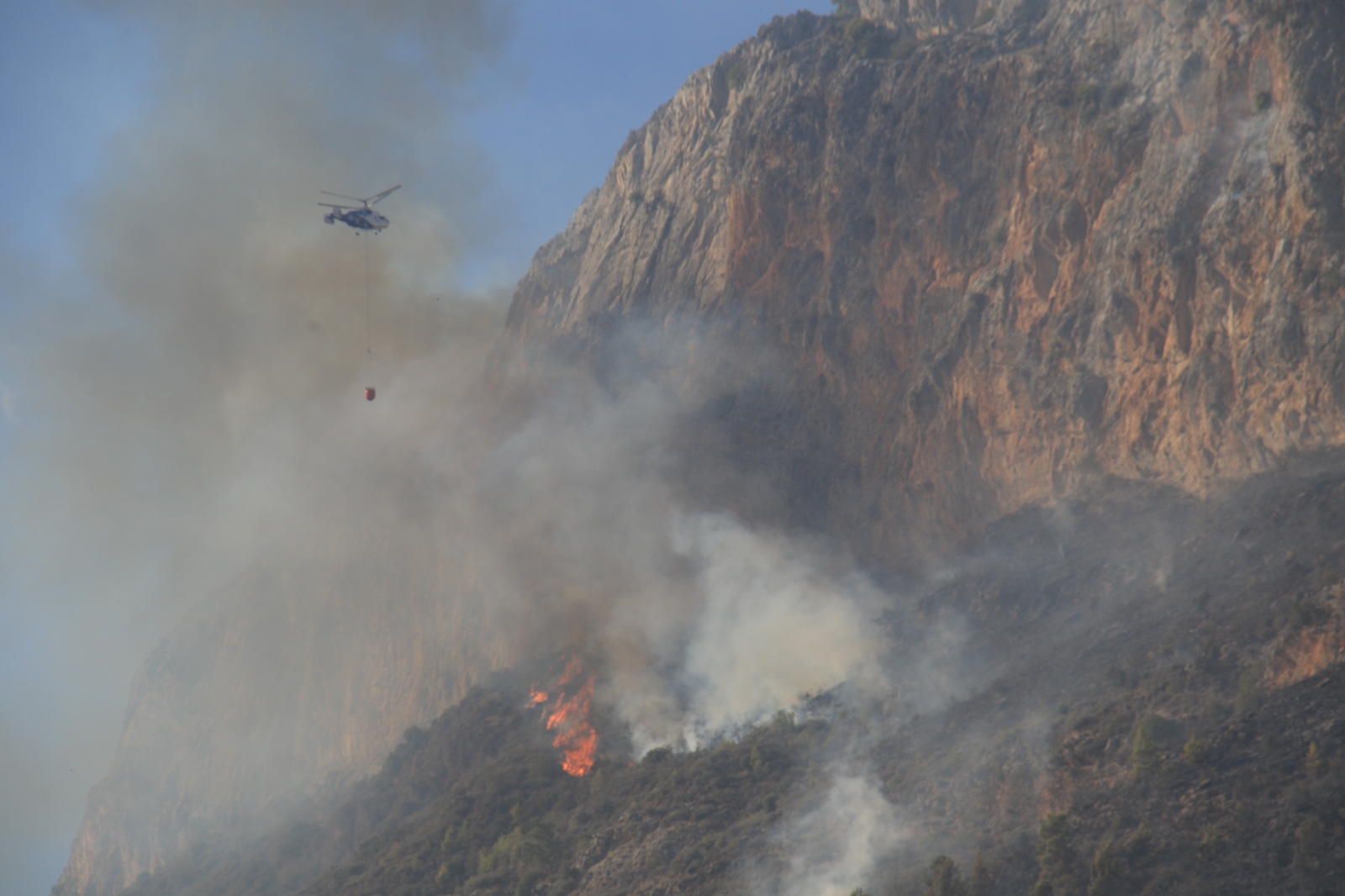 Mersin’deki orman yangınında 75 hektar ormanlık alan ile 25 dönüm sera yandı